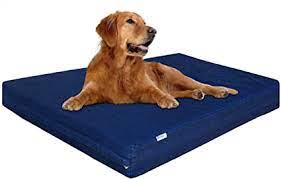 Denim Memory Foam Dog Bed By Dogbed4less