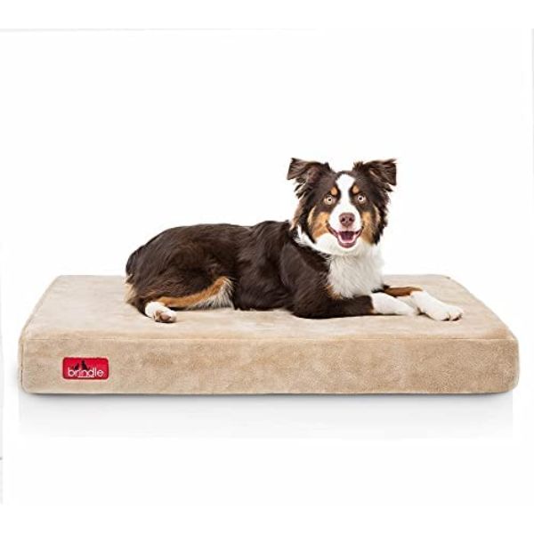 BRINDLE Memory Foam Bed