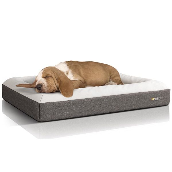 Foam Dog Bed