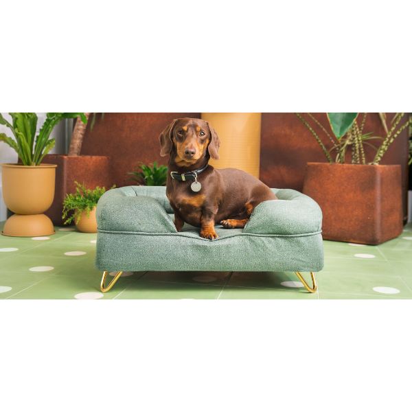 Omlet Memory Foam Bolster Bed