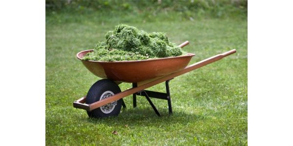 Grass Clippings