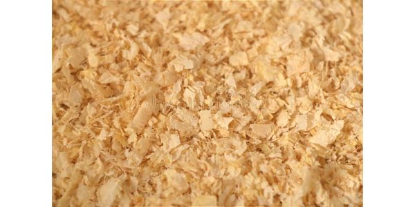 Pine Shavings