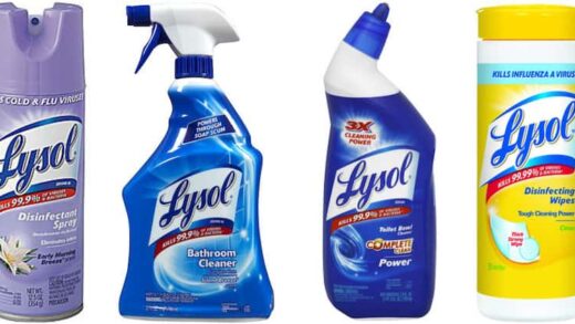 Does Lysol Kill Bed Bugs - the Ultimate Gude